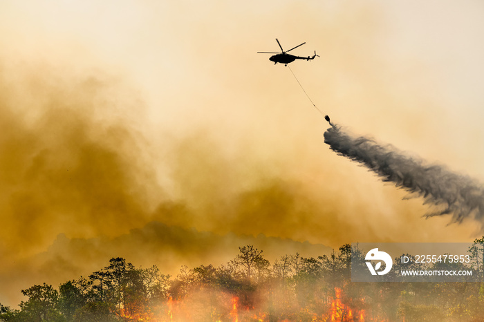 Silhouette firefithing helicopter dumps water on forest fire