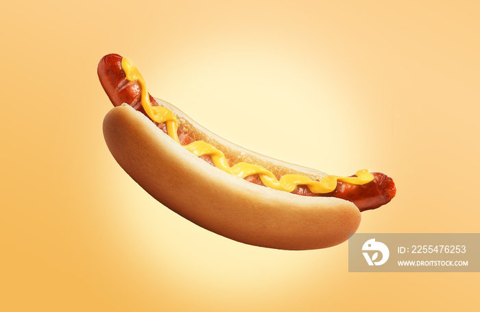 hot dog on yellow background