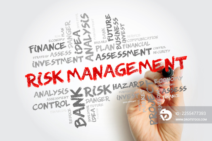 Risk Management - process of identifying, assessing and controlling threats to an organization’s capital and earnings, word cloud concept background