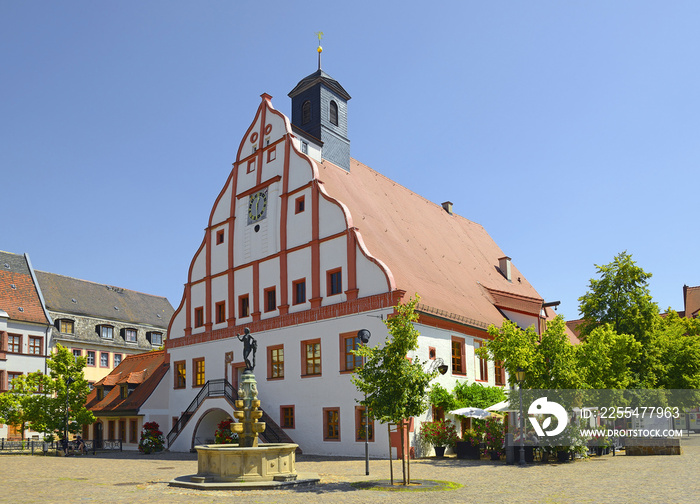 Old Town Hall of Grimma. Grimma is a town in the Free State of Saxony, Central Germany, on the left bank of the Mulde