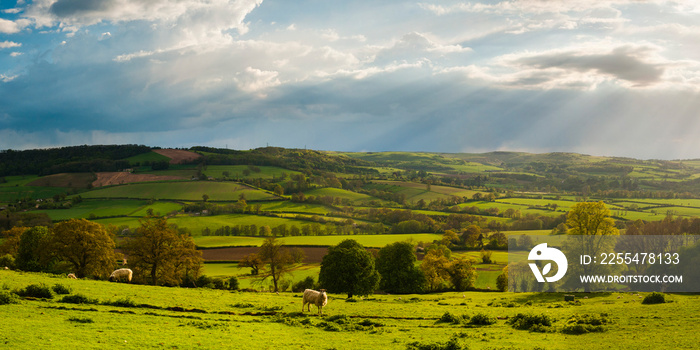 Autumn colours at sunset, Winchcombe and the Sudely Valley, The Cotswolds, Gloucestershire, England, United Kingdom, Europe