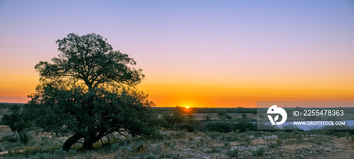 Panorama of sunset over desert in Australia with copy space