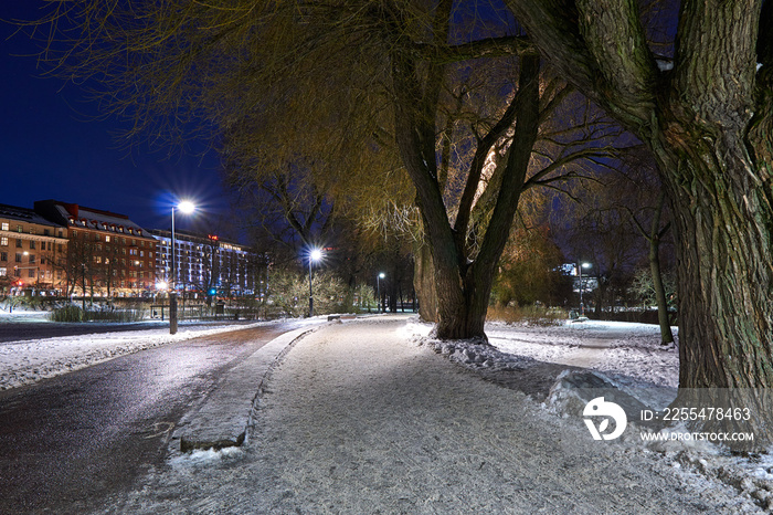 Road in park in Helsinki at night