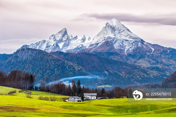 Green meadow and  snow-capped Watzmann mountain on a background. Bavarian alps. Germany