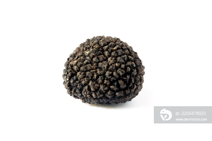 Black truffle isolated on white background