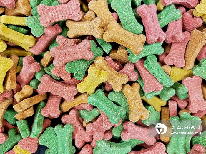 colorful dog milk bone biscuit collection at the pet store