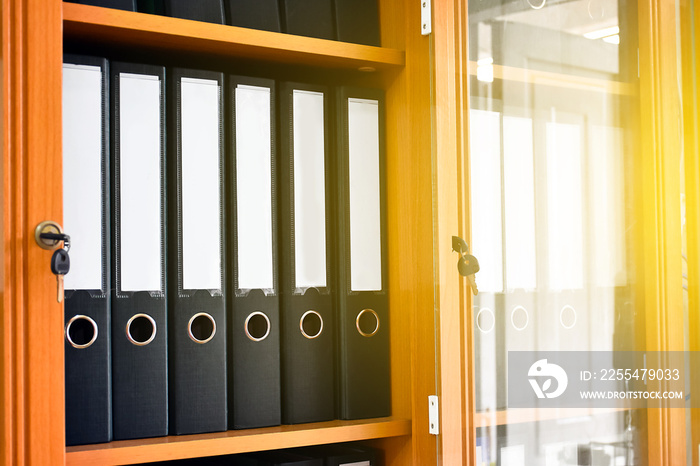 An office file cabinet that holds a large number of binders in an office, soft and selective focus on document binders.