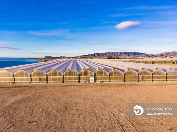 Big industry greenhouses. Industrial agriculture. Murcia region, Spain.