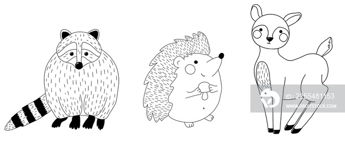 A set of hand drawn outline forest animals: racoon, deer, hedgehog