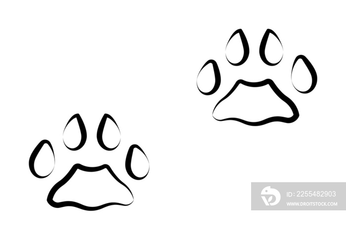 Bobcat tracks icon. Element of animal track for mobile concept and web apps. Hand drawn Bobcat tracks icon can be used for web and mobile on white background