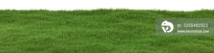 Architectural and landscape concept. Green grass field isolated on transparent background. 3d rendering . PNG format