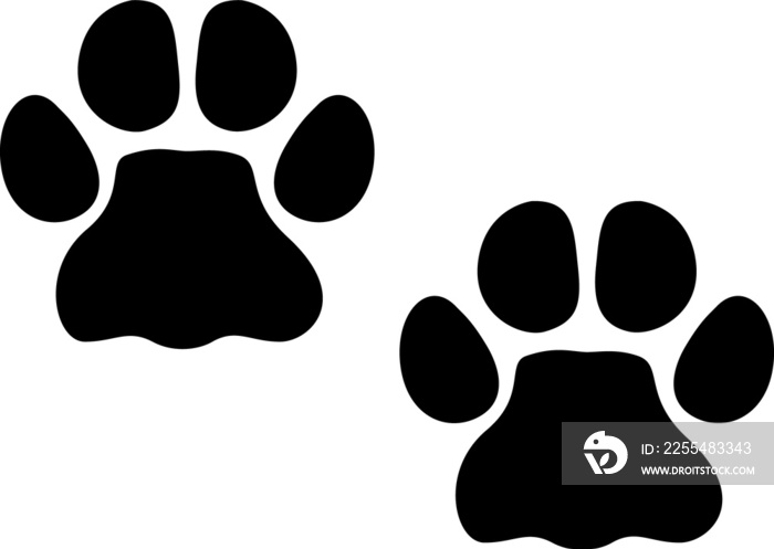 Cougar or jaguar wild cat steps, paw print tracks