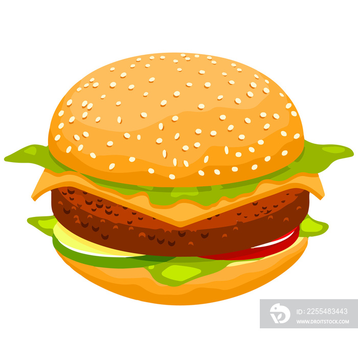 hamburger on a white