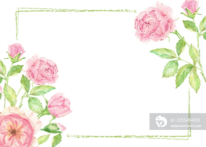 watercolor pink rose flower branch bouquet frame