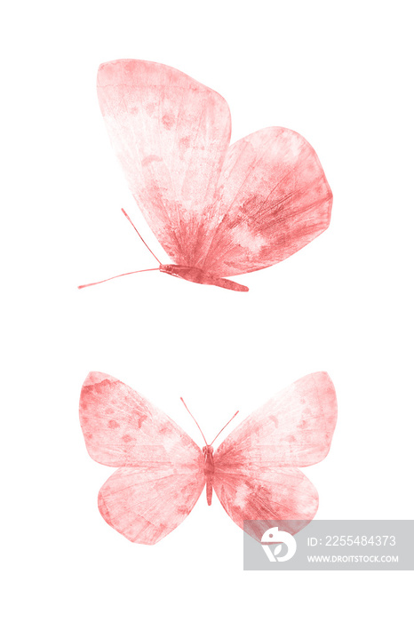 Red butterflies isolated on white background. tropical moths. insects for design. watercolor paints