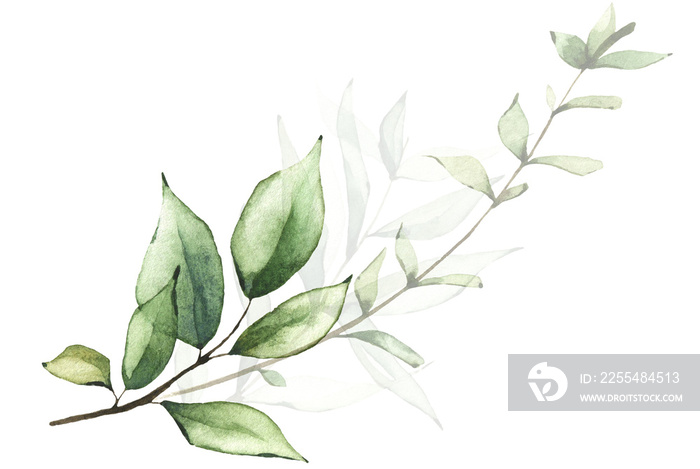 Delicate greenery arrangement watercolor painted. Bouquet with branches, green leaves. Cut out hand drawn PNG illustration on transparent background. Watercolour isolated clipart drawing.