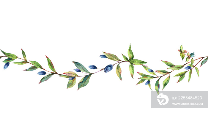 Watercolor Myrtle. Vintage Watercolor Seamless Pattern with Green Leaves, Twigs, Berries, Branches of Myrtle