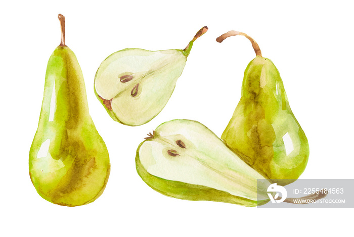 set of artistic watercolor sweet and ripe green pears, isolated on white background - hand drawn watercolor illustration