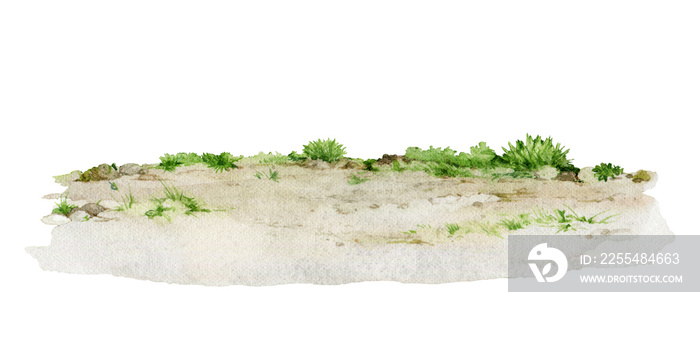 Ground with green grass watercolor illustration. Lush grassy on the ground landscape background element. Natural surface illustration. Isolated white background