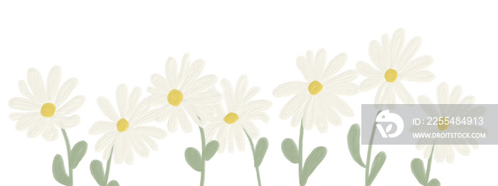 cute kid style oil paint white daisy flower banner