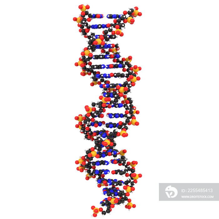 3D rendering illustration of DNA molecules