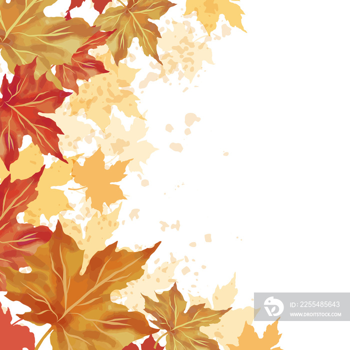 Autumn leaf fall frame. Colorful maple leaves with watercolor  background