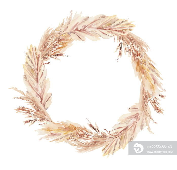 Hand painted watercolor dry palm leaves, pampas grass and poppies wreath on white background. Watercolor illustration. Dry boho flowers and leaves round  clipart isolated