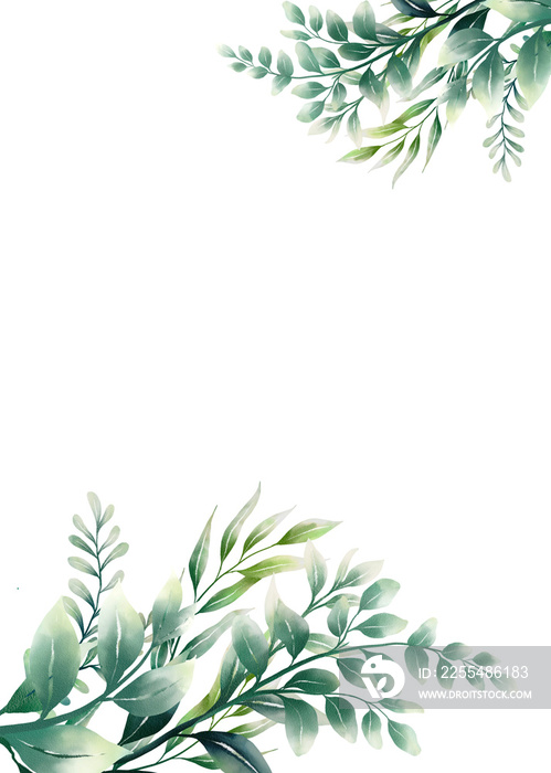 Frame Eucalyptus leaves watercolor