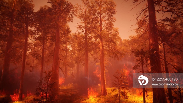 Landscape scene of wildfire 3d rendering