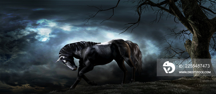 Horse in the moonlight