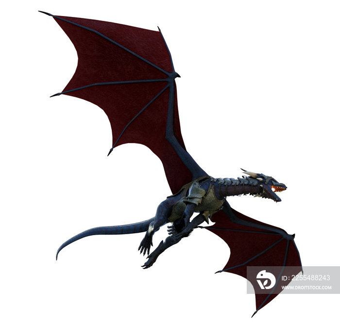 Black armored dragon, war of dragons