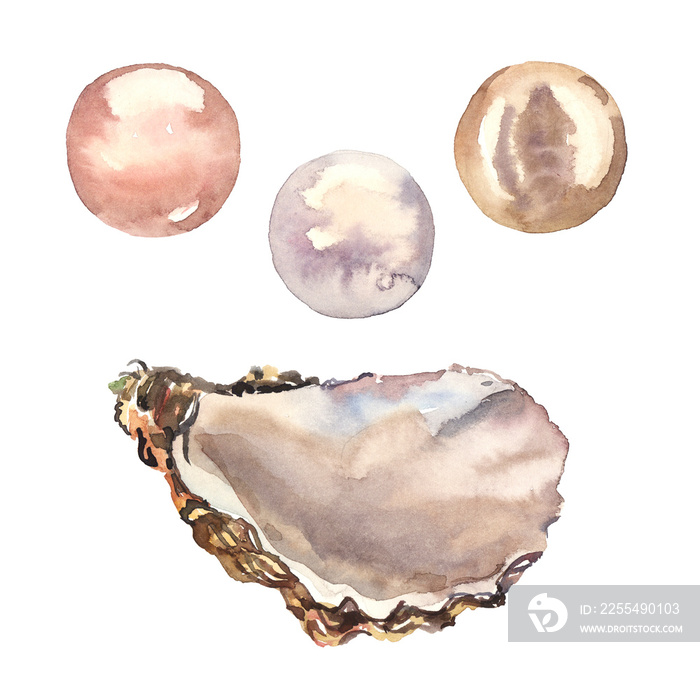 Watercolor hand painted natural pearls illustration set isolated on white background