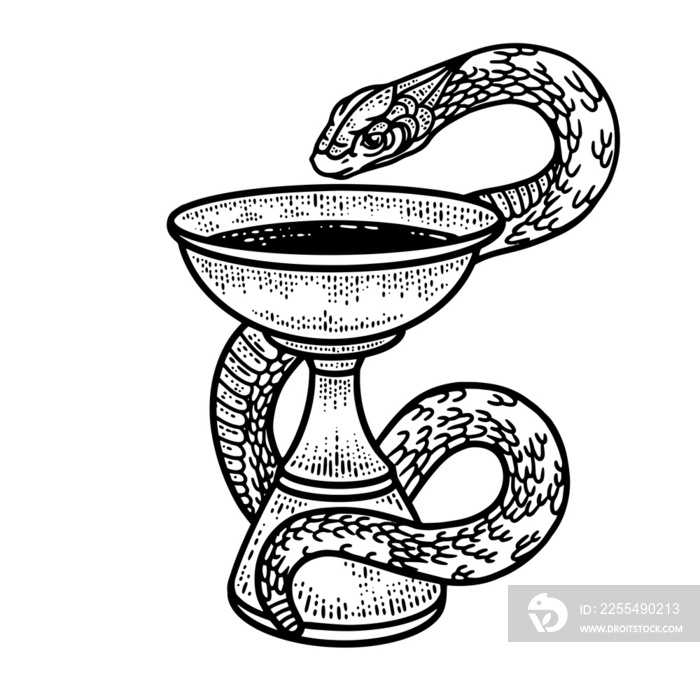 Bowl of Hygieia symbols of pharmacy sketch PNG illustration with transparent background