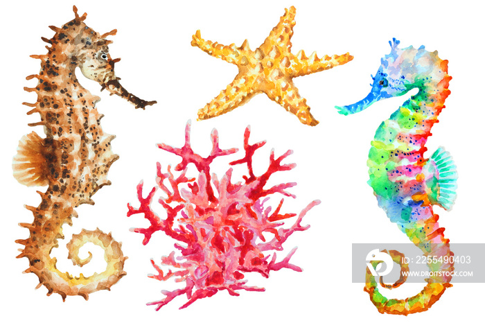 Group of colorful seahorses, red coral and starfish, watercolor.