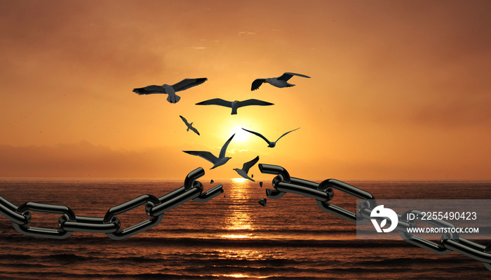 Freedom Concept Sea Birds broken The Chain and Flying Away. Chains transform to free Bird with Sunrise Sea and Sky background. Liberty.