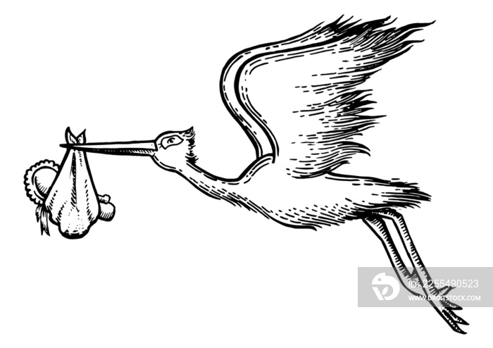 Stork carry baby engraving PNG illustration with transparent background