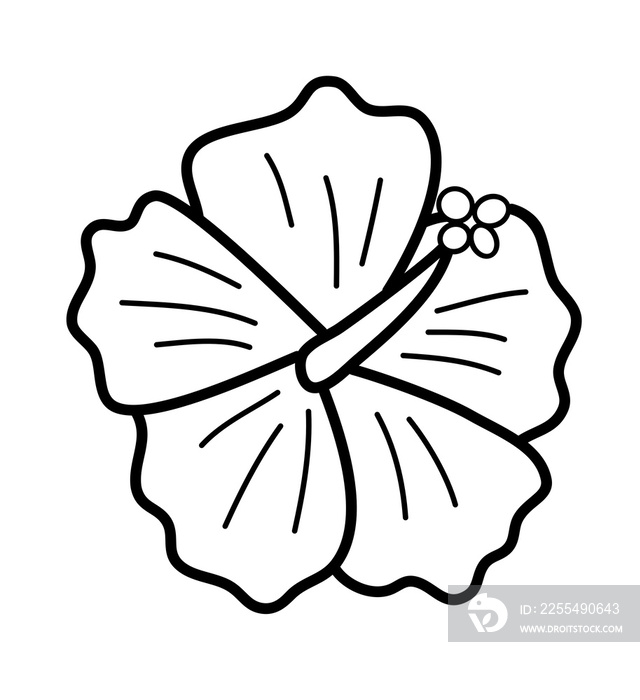 Hibiscus flower outline icon