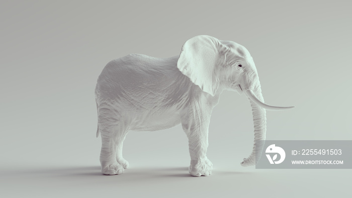 White Elephant Large 3d illustration render