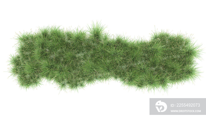 Grass on transparent background. 3d rendering - illustration