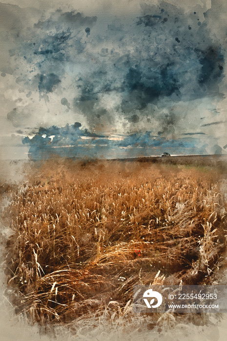 Watercolor painting of Golden wheat field under dramatic stormy sky landscape