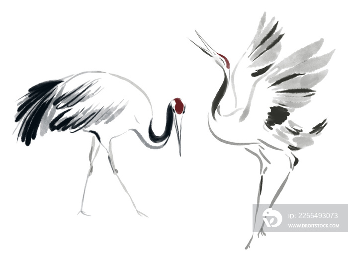 Japanese bird crane black and red and white ink watercolor asian style Traditional oriental nature elements