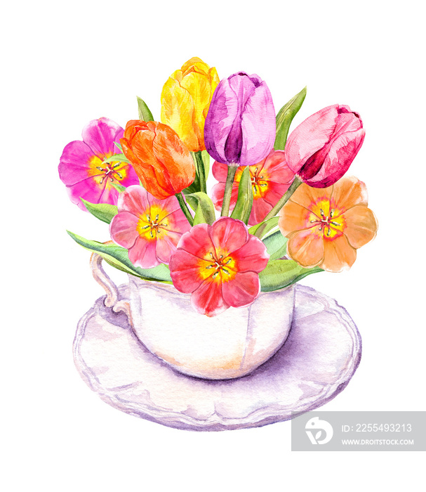 Spring tulip flowers in vintage tea cup. Tea party watercolor