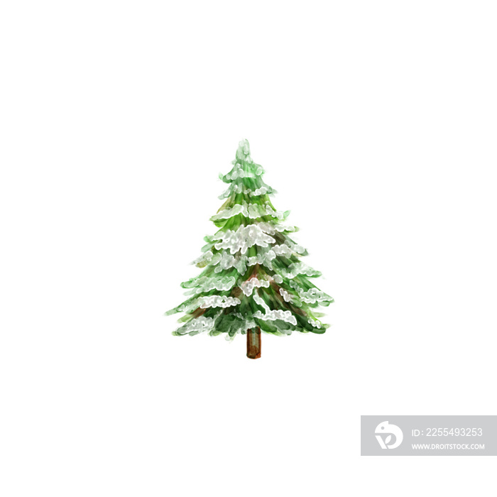 Christmas tree isolated on white | Christmas elements illustration