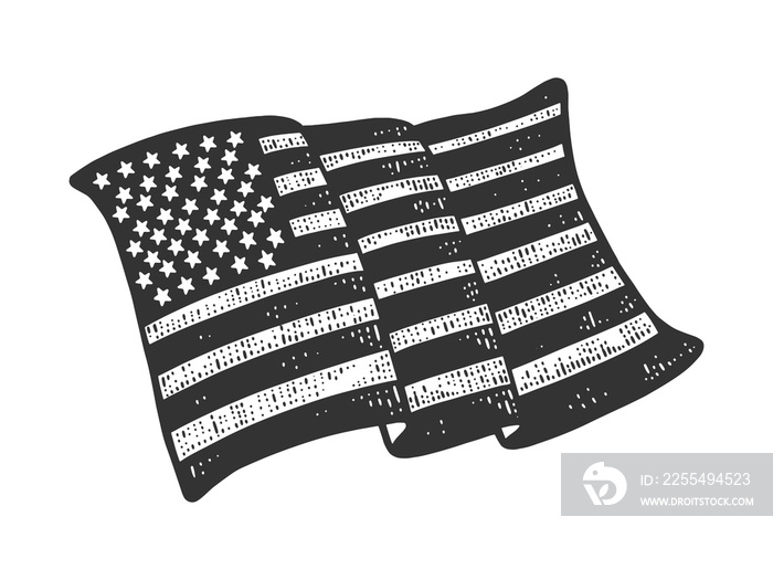 American flag sketch raster illustration