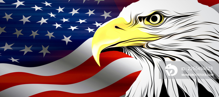 american eagle and american flag