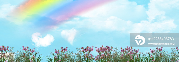 blue sky and sea  white clouds rainbow and wild flowers  summer background banner template