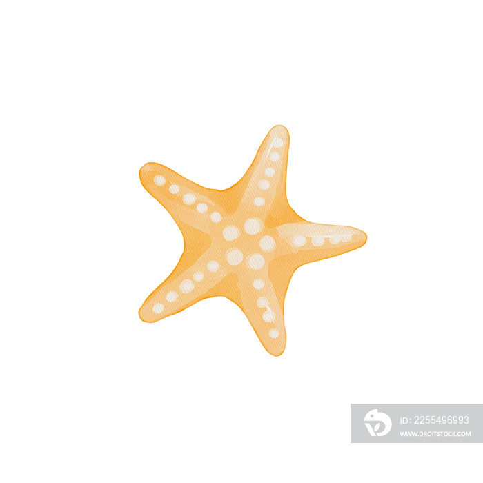 watercolor starfish