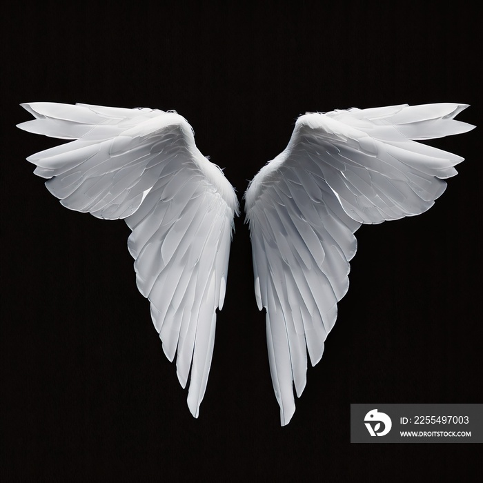 white angel wings