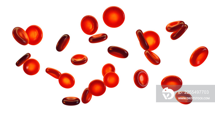 Group of red blood cells isolated on white. Blood cells (erythrocytes) carry oxygen to all body tissues.