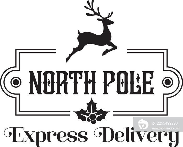 NORTH POLE Express Delivery lettering and quote illustration